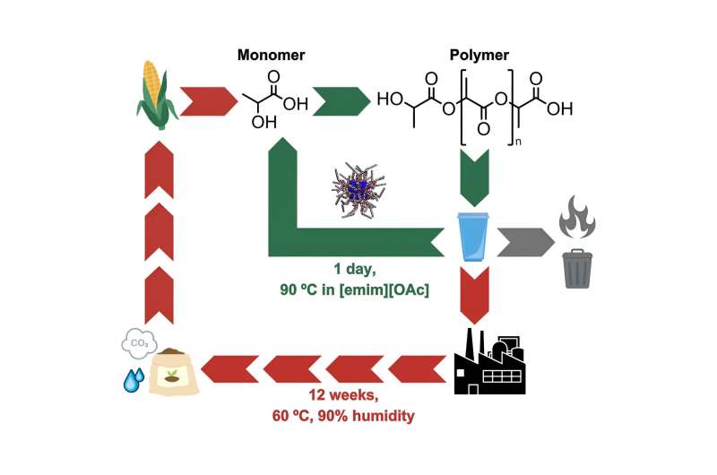 An enzyme used in laundry detergent can recycle single-use plastics within 24 hours