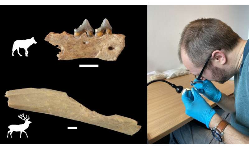 Homo sapiens already reached northwest Europe more than 45,000 years ago