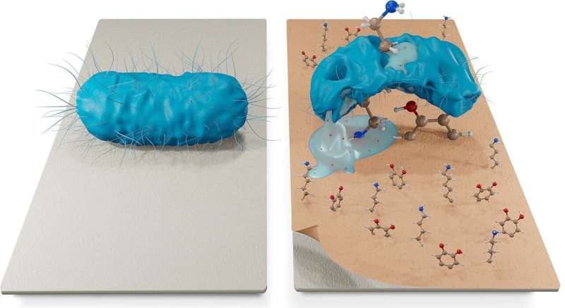 Mussel-inspired antimicrobial coating protects sanitary fabrics from infections