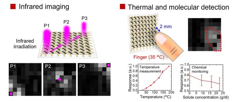 Organic electronics lead to new ways to sense light