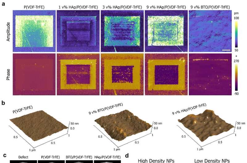 Researchers develop a novel 'bone bandage' material for cracked bones