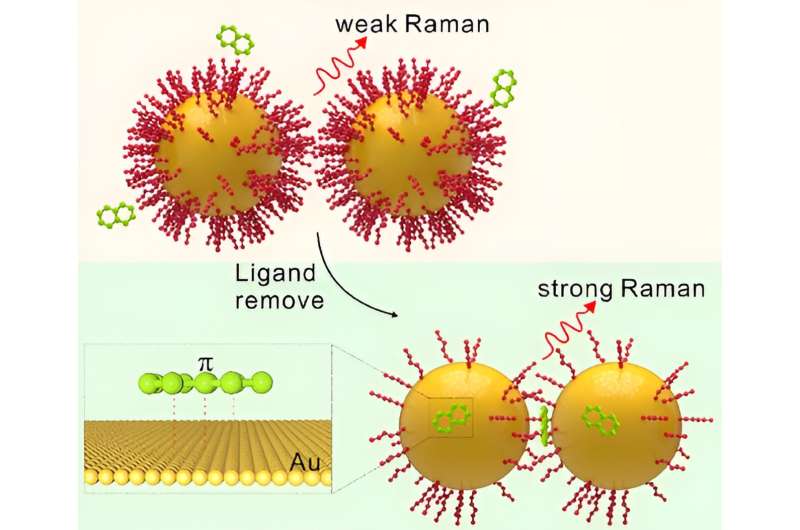 Scientists unlock secrets of aromatic molecules' interaction with gold