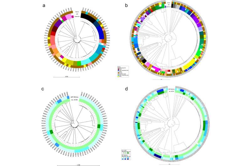 Study suggests resistant bacteria can remain in the body for years