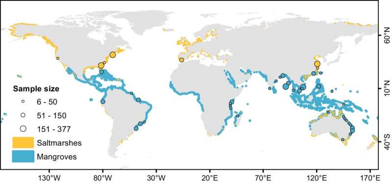 Tidal landscapes: A greater carbon sink than previously thought